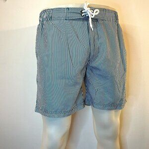 COLE Men's Teal Striped Brief Lined 6" Swim Trunks - Size Small